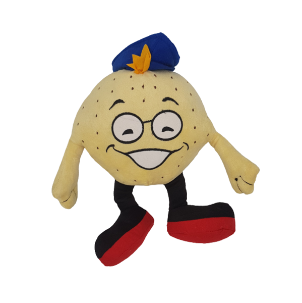 תמונה של מצה מחייכת מספוג לילדים