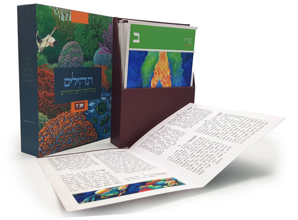 תמונה של {ערכת} תהילים יומי המחולק {ציורי נחשון}