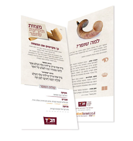 תמונה של ברכון - מבצע שופר